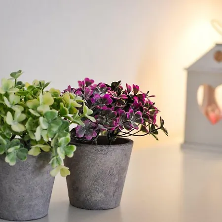 Casa Chiara Apartment Verona